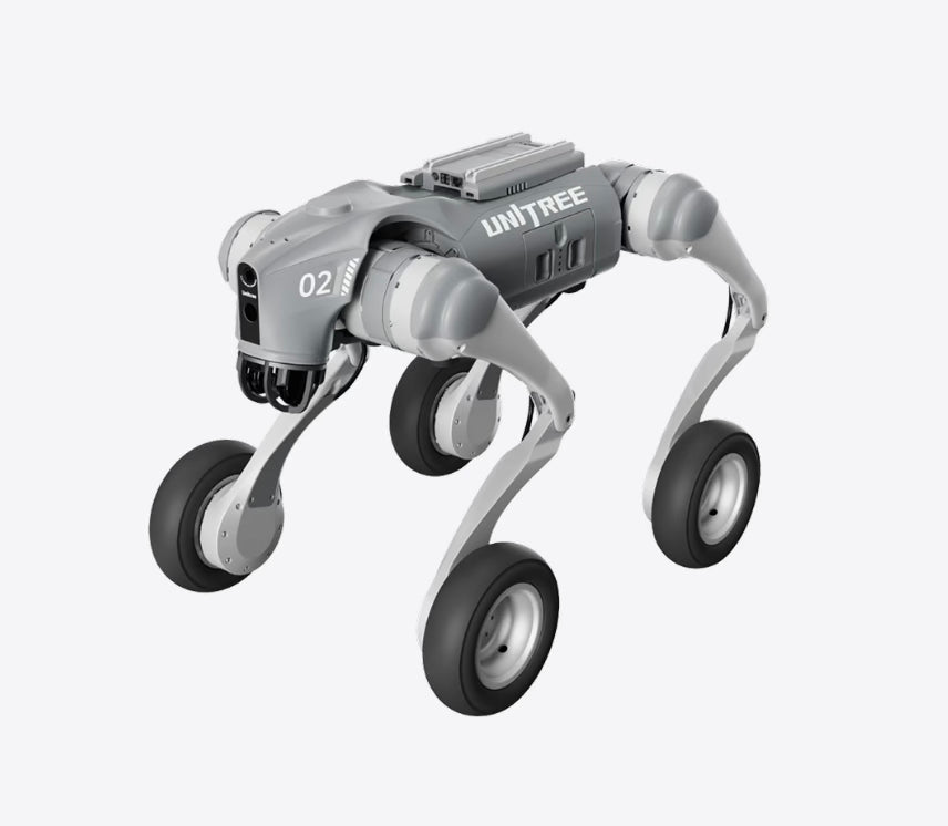 Go2-W Standard
